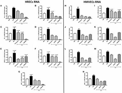 Curcumin Analogs Reduce Stress and Inflammation Indices in Experimental Models of Diabetes